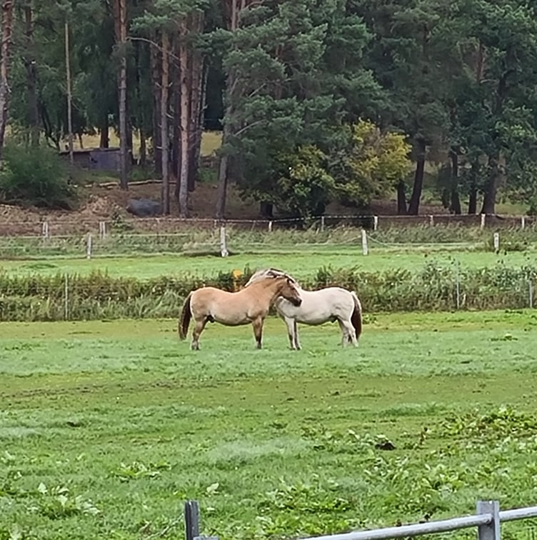 118970884_620285172006885_3750145395157357117_n