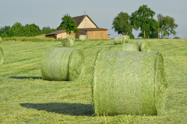 hay-bales-502949_640